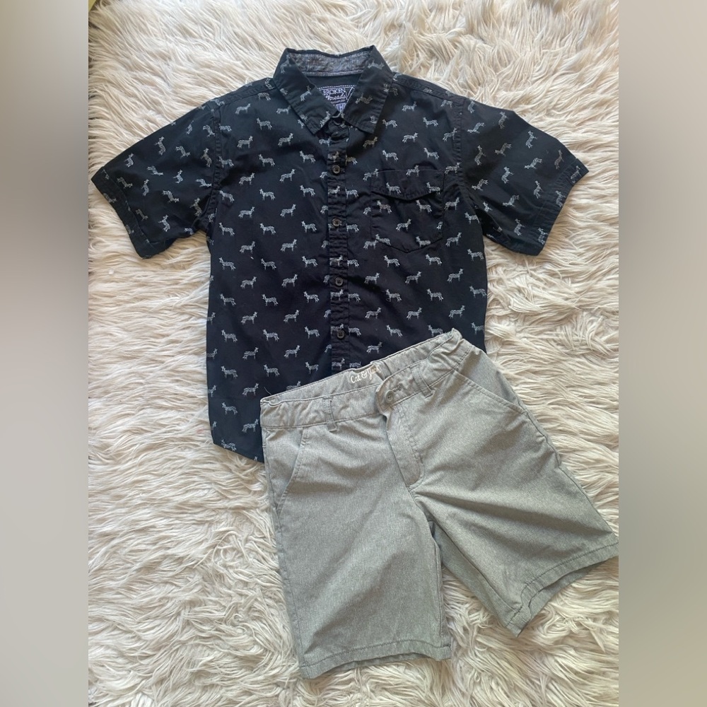 Black zebra Print Shirt and Gray Shorts Set